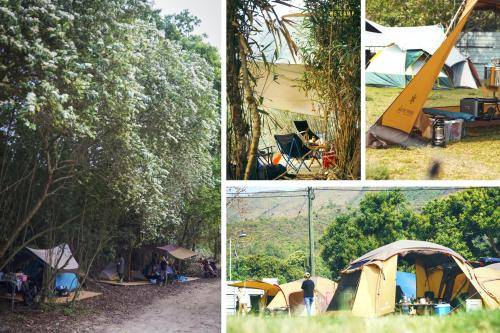 We Camp - Pool Side Camping & Glamping & BYOS & Car Camping 【湖畔汽車營區B-Zone】野外自紮+露營區 2